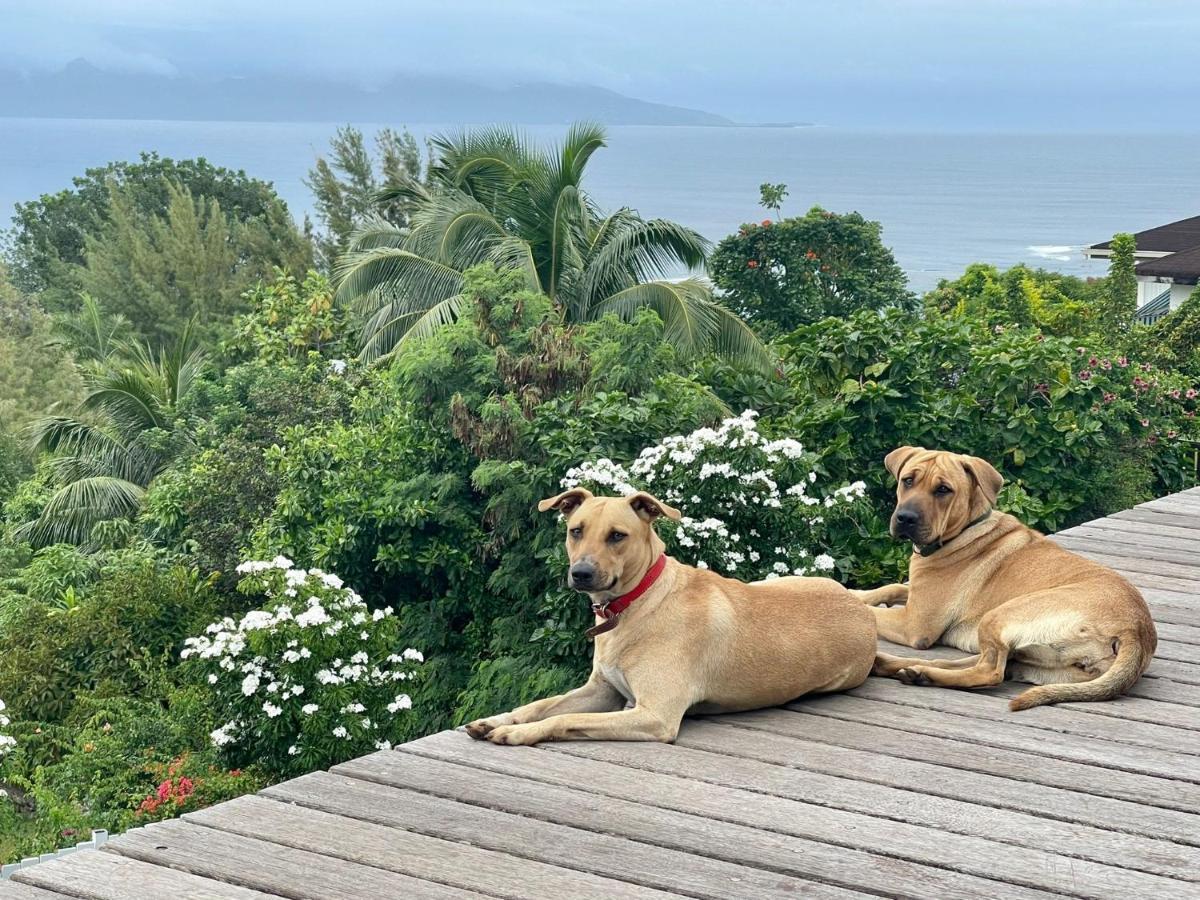 Jolie Maison Vue Ocean Et Moorea بوناويا المظهر الخارجي الصورة