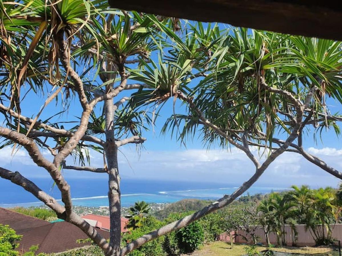 Jolie Maison Vue Ocean Et Moorea بوناويا المظهر الخارجي الصورة
